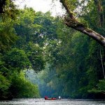 Taman Negara
